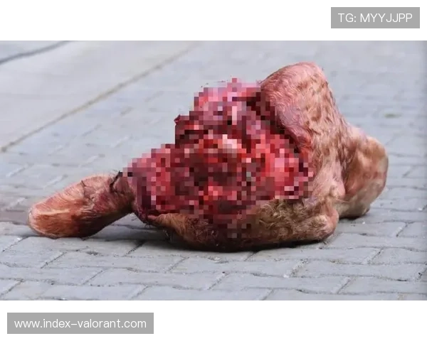 莱比锡队刊内容惹争议 球迷强烈不满发起集体抵制 莱比锡队刊内容惹争议 球迷强烈不满发起集体抵制