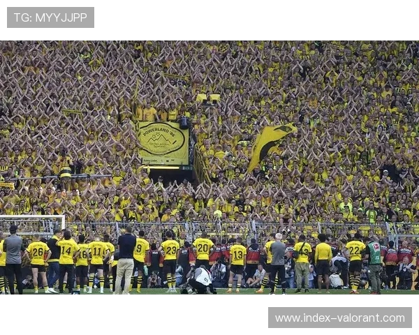 欧冠主题球迷活动扩展,新增10城市线下观赛点 欧冠主题球迷活动扩展,新增10城市线下观赛点