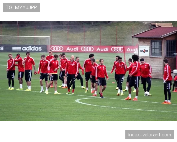 德甲“校园足球日”活动在德国三百所中小学同步展开